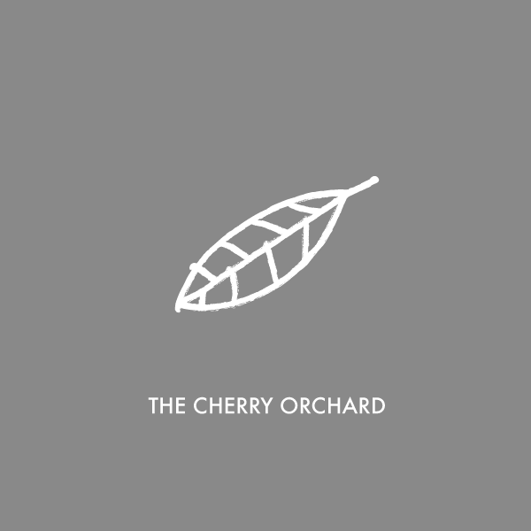 The Cherry Orchard (FREE EDITION)